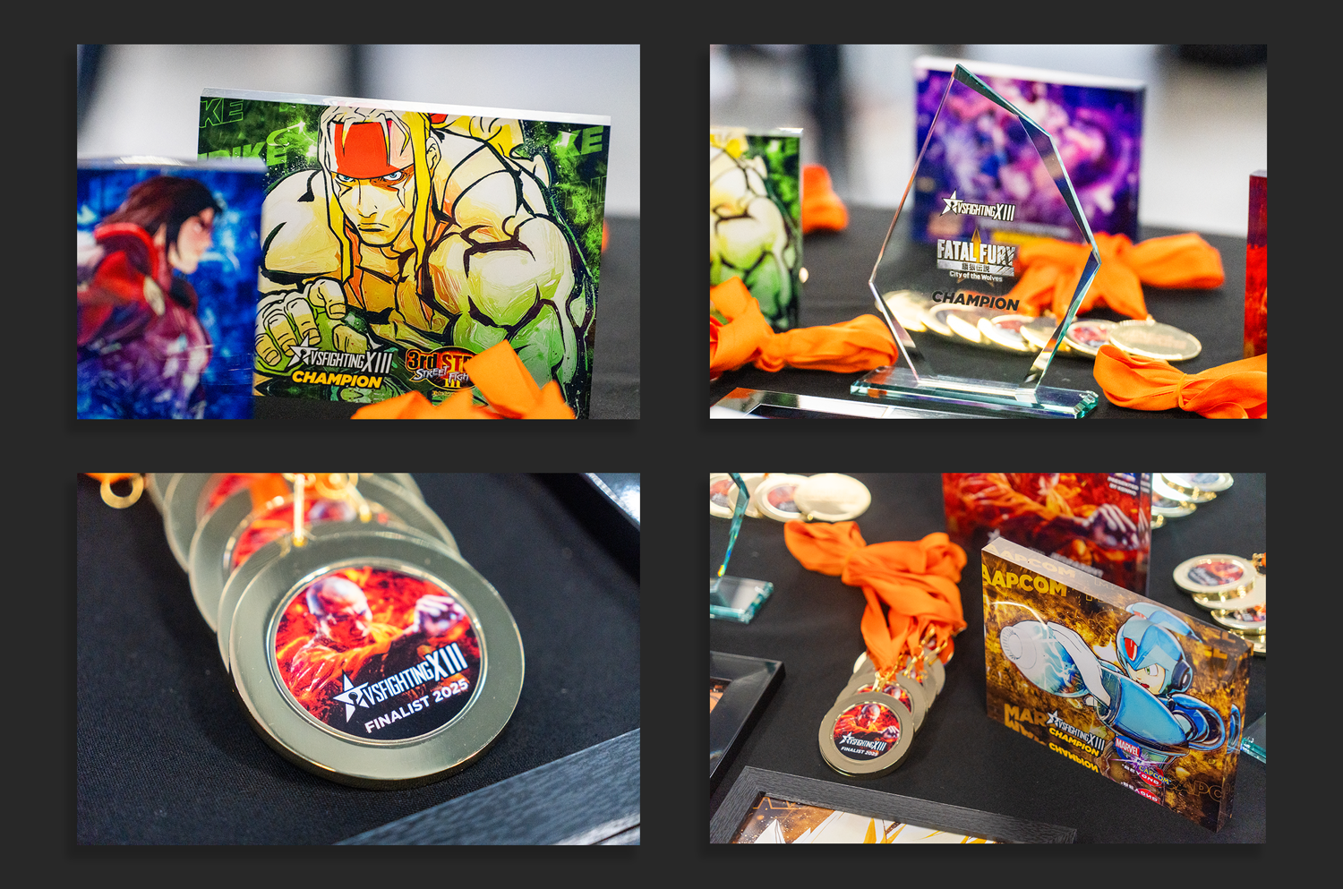 VSFighting XII Event Photography