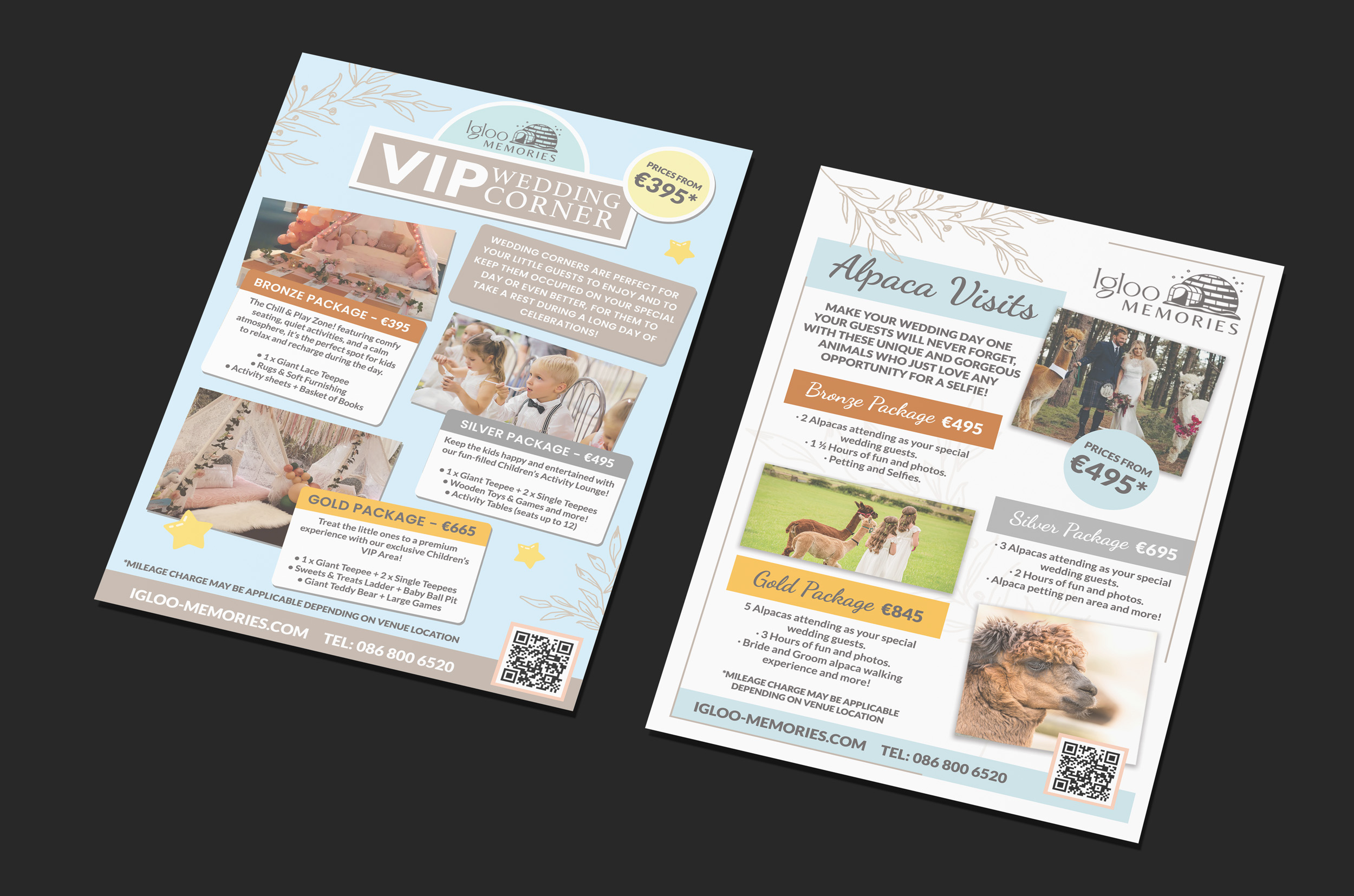 Era Systems Bifold Brochure